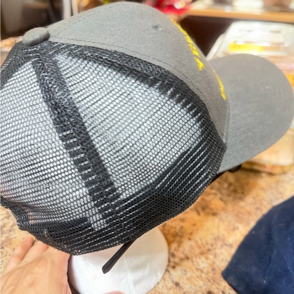 Gray Cap - Picture 6 of 9